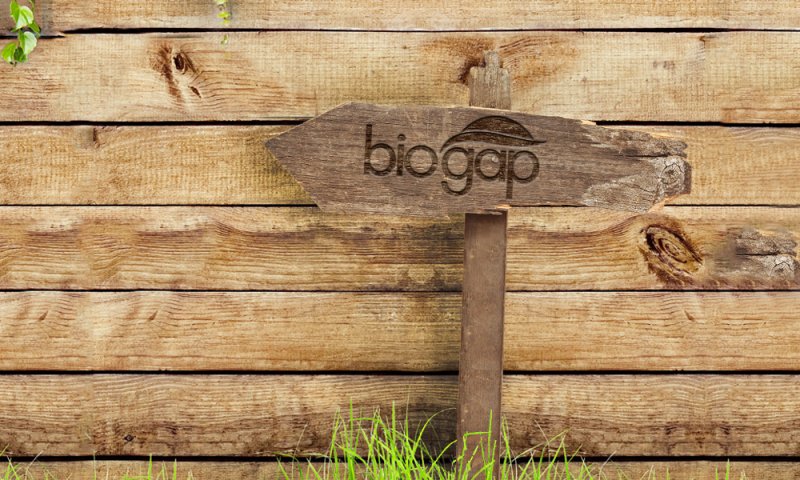 Logo Çalışması - Biogap Logo Çalışması